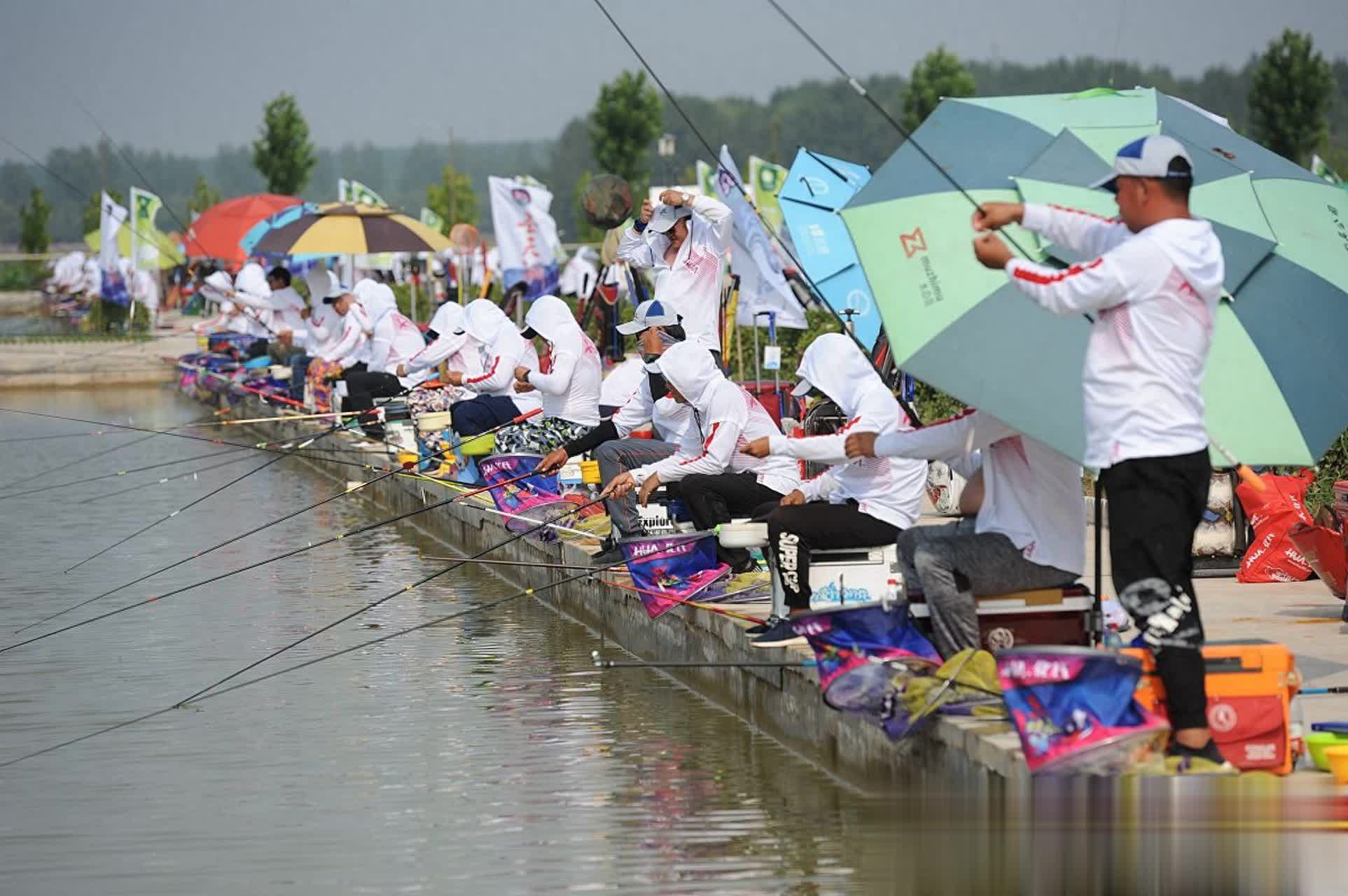 停口的原因, 什么原因导, 当窝子里的 停口的原因, 什么原因导, 当窝子里的