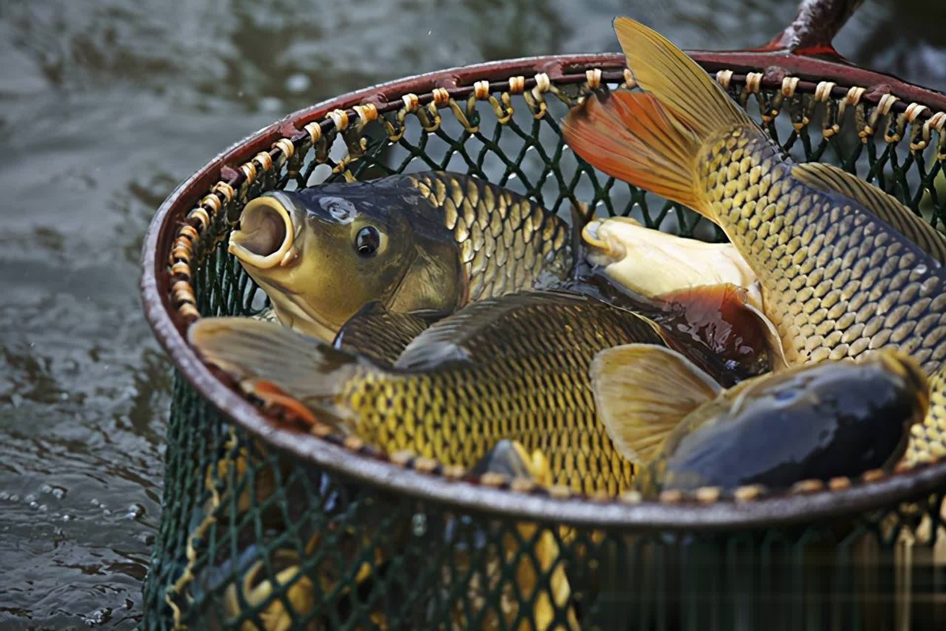 img, 就会离开 img, 就会离开